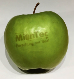 Academy Research Activities Apple