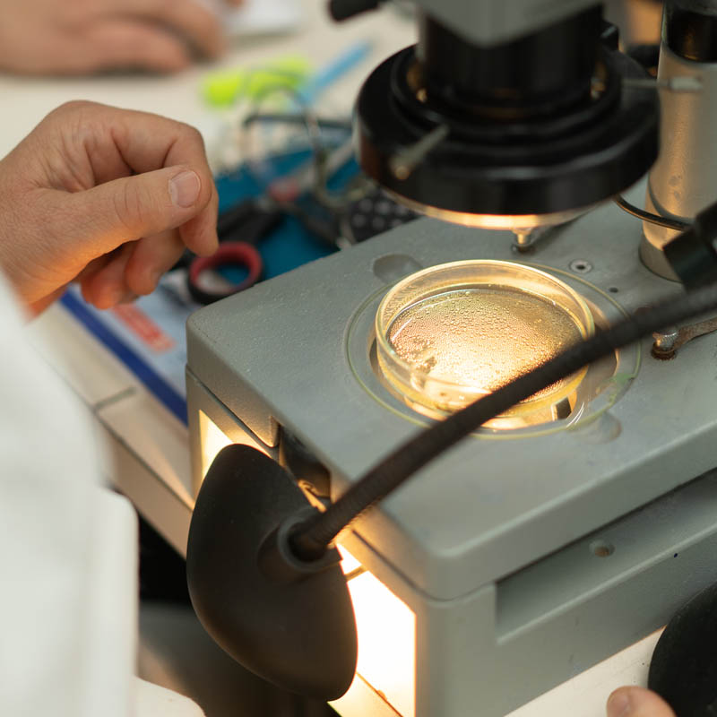 Services Resin research microscope